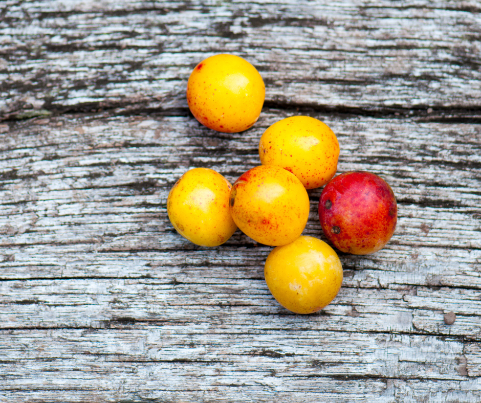 fruta de hueso mirabel